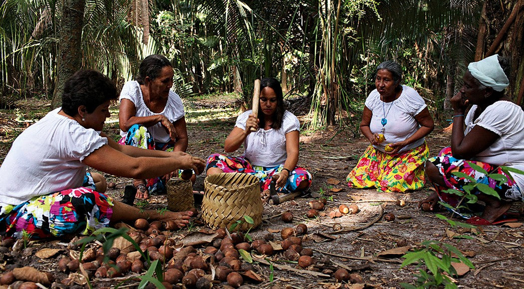 Guardianas da Palmeira: Mulheres que Colhem Attalea speciosa em Prol das Pessoas e do Planeta